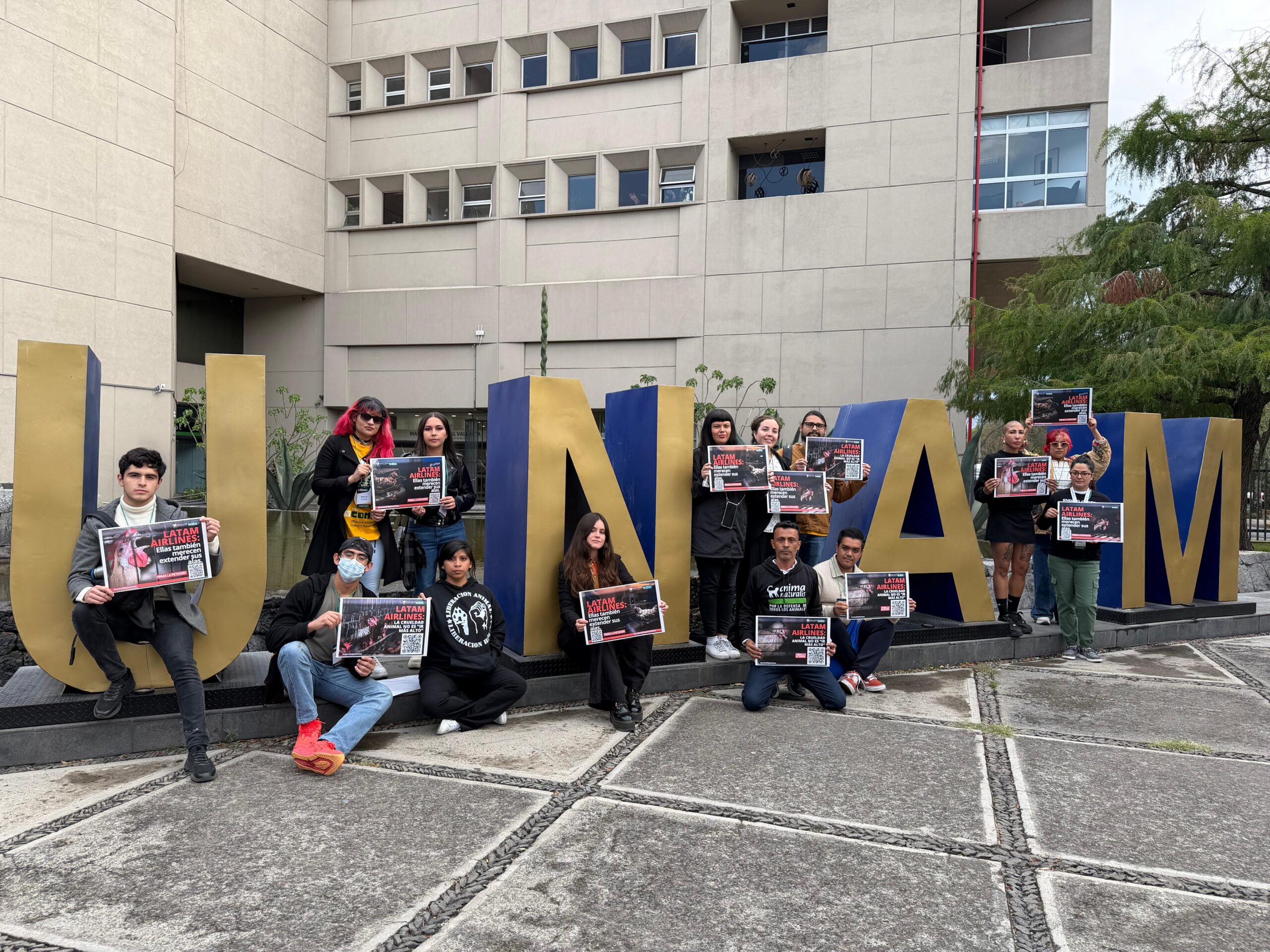 Acción en México